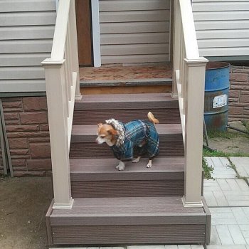 Ступень из ДПК 160x22х4000 мм Holzhof с тиснением "Кольца дерева"